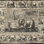 Rembrandtův slon v Mladé Boleslavi